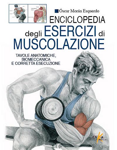 Muscle Building Exercises Encyclopedia 