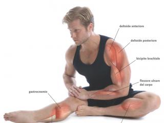 Esercizi di Stretching