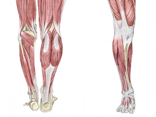 Esercizi di Stretching per coscia e anca